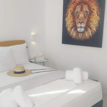 Kipos Livinn Apartman Mykonos Town