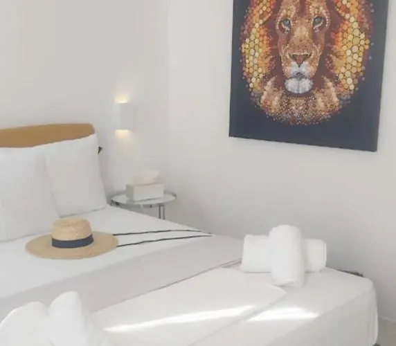 Kipos Livinn 公寓 Mykonos Town